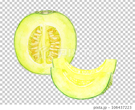 Hand-drawn watercolor illustration of cut melon fruit 106437223