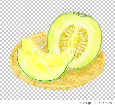 カットしたメロン　フルーツの手描き水彩イラスト素材 106437229