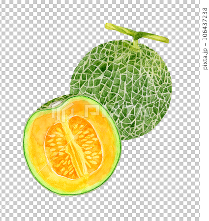 紅肉瓜切半果手繪水彩插畫素材 106437238