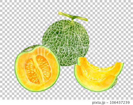 Cut red meat melon fruit hand-painted watercolor illustration material Cut red meat melon fruit hand-painted watercolor illustration material 106437239