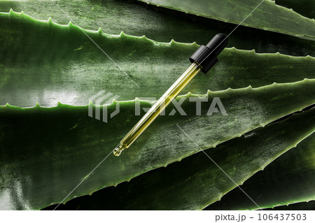 Aloe Vera gel or oil. pipette with natural aloe vera on dark green leaf background. Aloe Vera Natural cosmetic product for skin care. Aloe Vera gel or oil. pipette with natural aloe vera on dark green leaf background. Aloe Vera Natural cosmetic product for skin care. 106437503