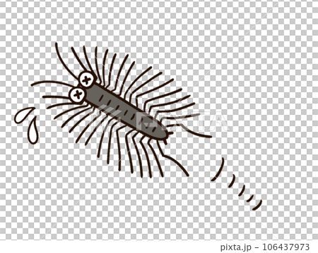 逃げるゲジゲジ 106437973