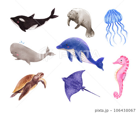 Set of marine life. sea animals watercolor vector illustration 106438067