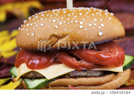 Burger And Autumn Leaves Burger And Autumn Leaves 106438164