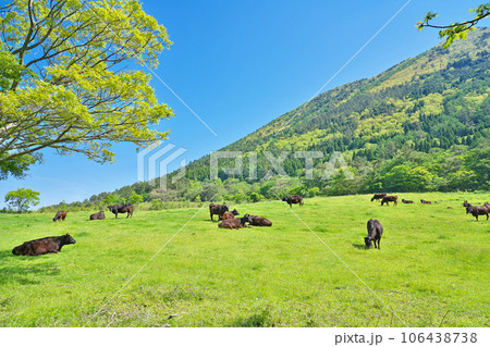 【三瓶山 (西の原)】 島根県大田市三瓶町 106438738