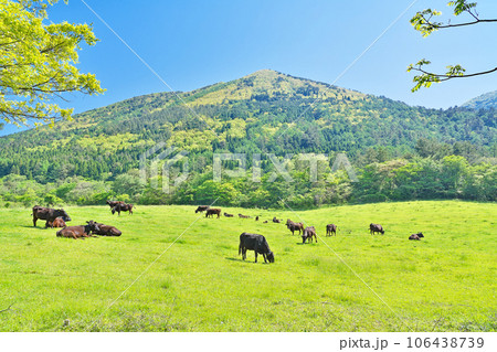【三瓶山 (西の原)】 島根県大田市三瓶町 106438739