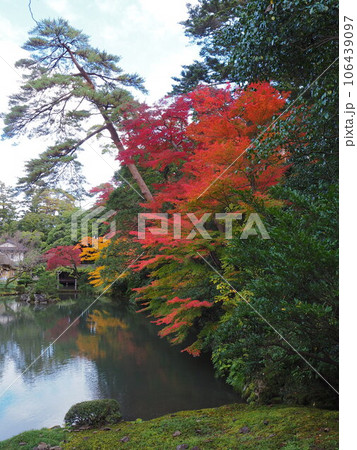 池のほとりの美しい紅葉 106439097