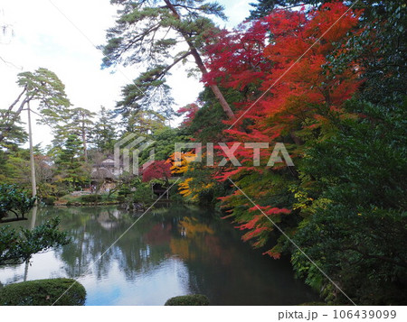 池のほとりの美しい紅葉 106439099