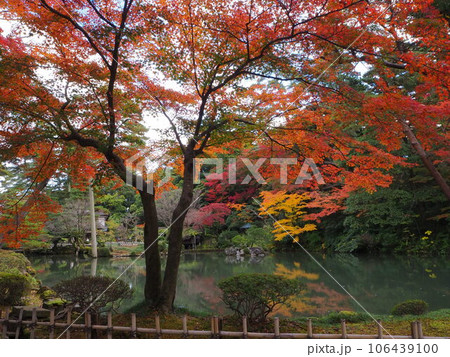 池のほとりの美しい紅葉 106439100