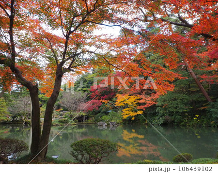 池のほとりの美しい紅葉 106439102