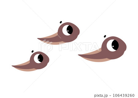 Cute Tadpole Character with Big Eyes Swimming Vector Illustration 106439260