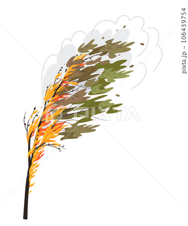 Burning Tree Isolated on white, Wild Fire 106439754