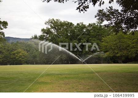 夏も終わりの福井県総合グリーンセンター 夏も終わりの福井県総合グリーンセンター 106439995