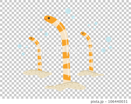 Illustration of a Japanese conger eel 106440031