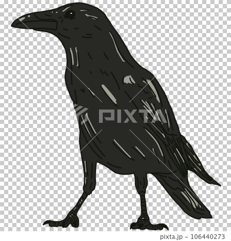 vector illustration of a bird 106440273