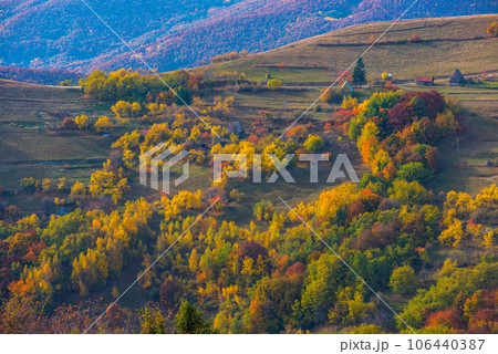 Colorful autumn landscape Colorful autumn landscape 106440387