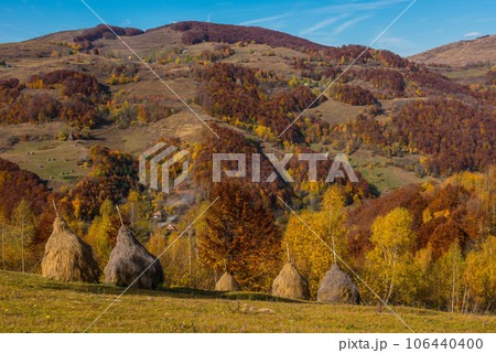 Autumn landscape, colorful forest 106440400