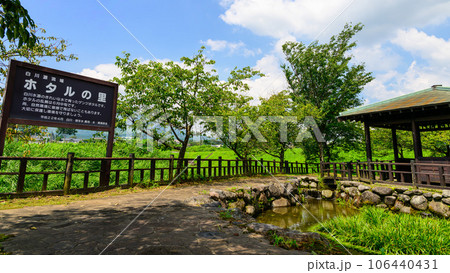 ホタルの里「夏空を背景にホタルの生息地　観光スポット」阿蘇郡南阿蘇村白川 106440431