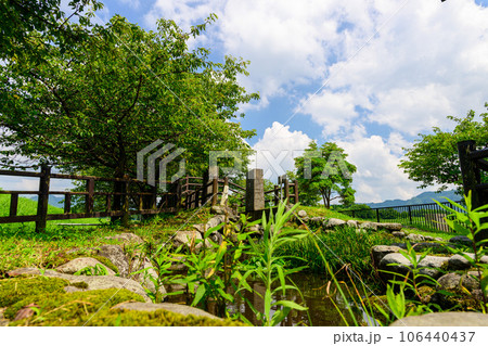 ホタルの里「夏空を背景にホタルの生息地 観光スポット」阿蘇郡南阿蘇村白川 ホタルの里「夏空を背景にホタルの生息地 観光スポット」阿蘇郡南阿蘇村白川 106440437