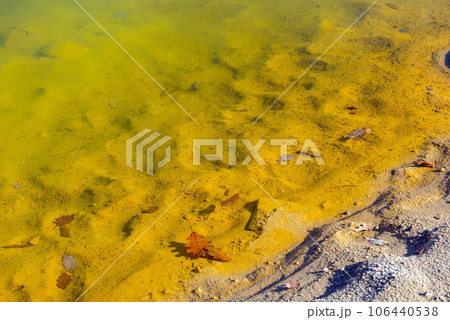 Yellow polluted waste water Yellow polluted waste water 106440538