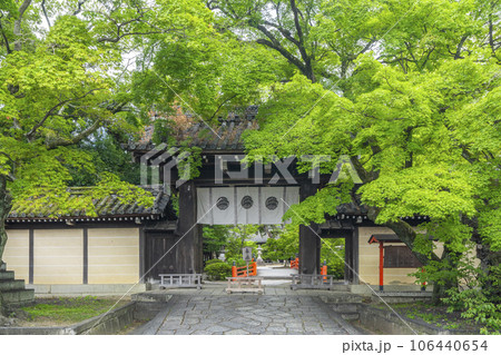 今宮神社　青紅葉が美しい東門（京都市北区紫野今宮町） 106440654