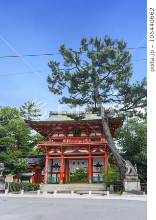 今宮神社　楼門　立派な松の木　新緑の季節（京都市北区紫野今宮町） 106440662
