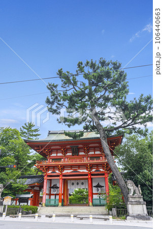 今宮神社 楼門 立派な松の木 新緑の季節(京都市北区紫野今宮町) 今宮神社 楼門 立派な松の木 新緑の季節(京都市北区紫野今宮町) 106440663