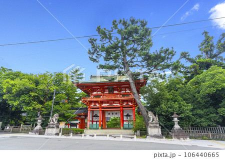 今宮神社　楼門　立派な松の木　新緑の季節（京都市北区紫野今宮町） 106440665