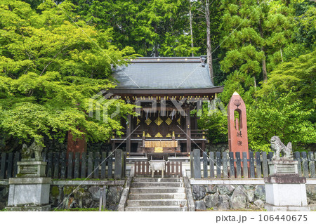 今宮神社　織姫社　新緑の季節（京都市北区紫野今宮町） 106440675