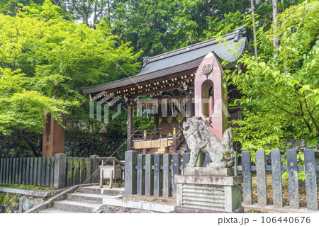 今宮神社　織姫社　新緑の季節（京都市北区紫野今宮町） 106440676