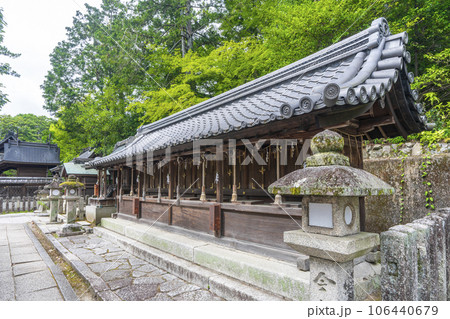 今宮神社 八社 新緑の季節(京都市北区紫野今宮町) 今宮神社 八社 新緑の季節(京都市北区紫野今宮町) 106440679