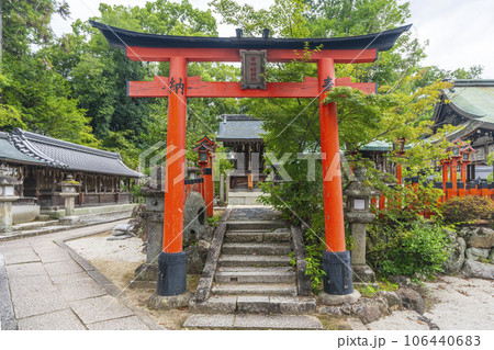 今宮神社　紫野稲荷社　新緑の季節（京都市北区紫野今宮町） 106440683