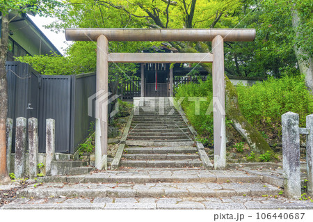 今宮神社　月読社　新緑の季節（京都市北区紫野今宮町） 106440687