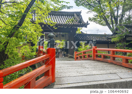 今宮神社　神橋から東門を望む　新緑の季節（京都市北区紫野今宮町） 106440692