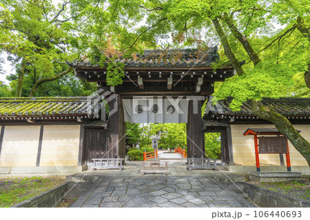 今宮神社　鮮やかな青もみじに包まれた東門（京都市北区紫野今宮町） 106440693