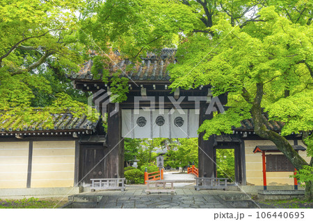 今宮神社 鮮やかな青もみじに包まれた東門(京都市北区紫野今宮町) 今宮神社 鮮やかな青もみじに包まれた東門(京都市北区紫野今宮町) 106440695
