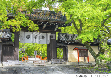 今宮神社　鮮やかな青もみじに包まれた東門（京都市北区紫野今宮町） 106440697