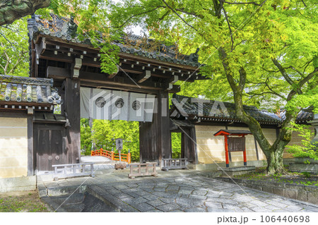 今宮神社　鮮やかな青もみじに包まれた東門（京都市北区紫野今宮町） 106440698