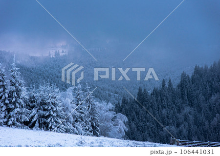 Beautiful winter landscape with snow covered trees Beautiful winter landscape with snow covered trees 106441031