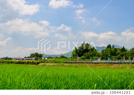 夏空と阿蘇山を背景に田園風景に映える鉄道風景（全線開通）南阿蘇鉄道 106441281