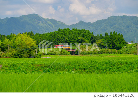 夏空と阿蘇山を背景に田園風景に映える鉄道風景（全線開通）南阿蘇鉄道 106441326