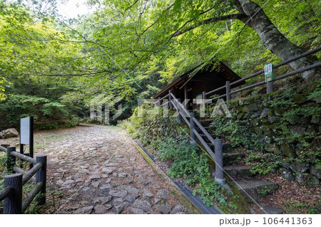 夏の三頭山の大滝休憩小屋 106441363