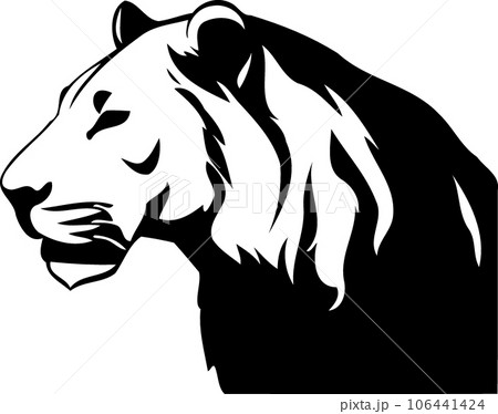 lioness head in black and white lioness head in black and white 106441424