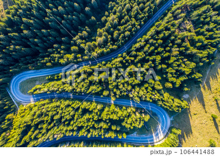 Aerial view of green pine forest and a road 106441488