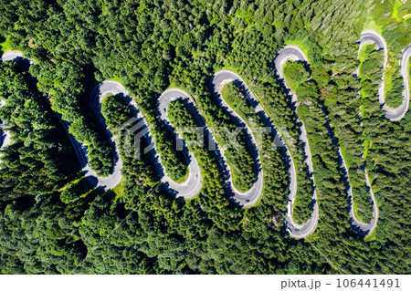 Aerial top view of a winding road in green forest 106441491