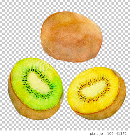 Cut kiwi fruit watercolor illustration 106441572