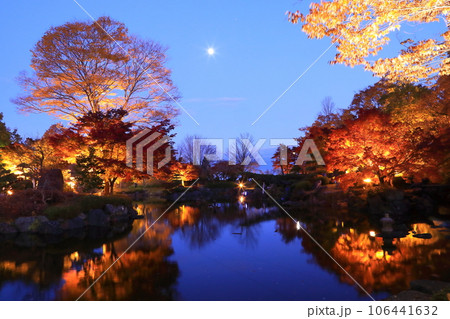 桜山公園ライトアップ 106441632