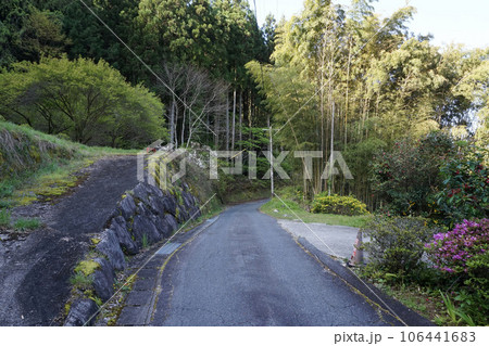 妻籠宿~三留野宿の間を通る旧中山道の風景【長野県木曽郡】 妻籠宿~三留野宿の間を通る旧中山道の風景【長野県木曽郡】 106441683