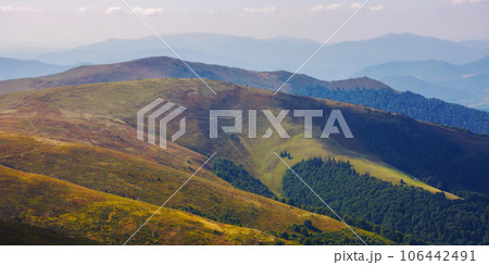 carpathian highlands in fall colors. nature background with colorful alpine hills and meadows in evening light. borzhava ridge, transcarpathia, ukraine 106442491