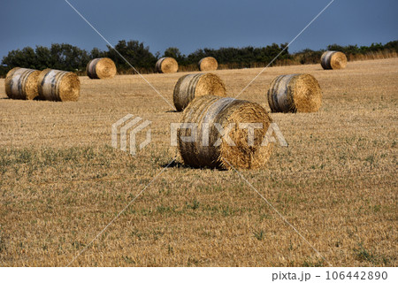 Straw bales on farmland with blue sky 106442890